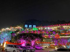 -枇杷园食为鲜火锅(南山店)