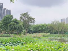 -顺峰山公园