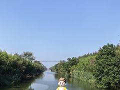 -黄海国家森林公园