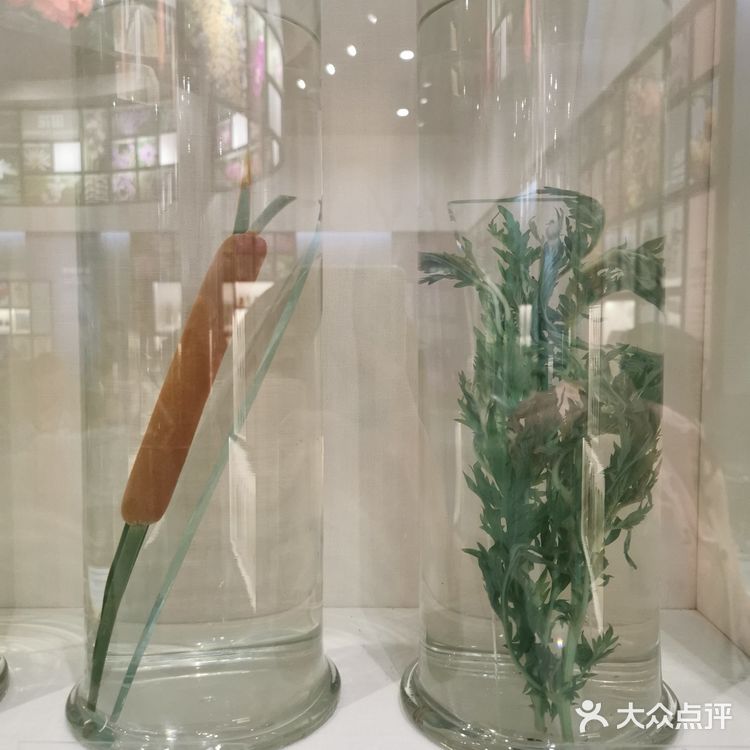 妈妈再也不用担心我五谷不分了