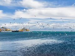 -青海湖国家重点风景名胜区