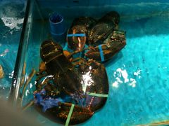 -学府海鲜批发市场