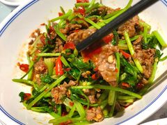 香菜炒牛肉-壹盏灯(惠农店)