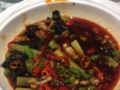 -金蝉食府(维吉奥广场店)