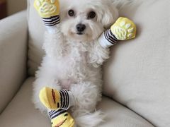 -紫罗兰酒家·喜宴楼(中堂群英路店)