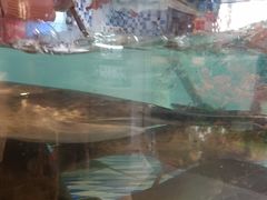 -后湖小院·乡野田园菜