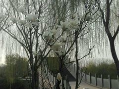 -西安汉城湖景区