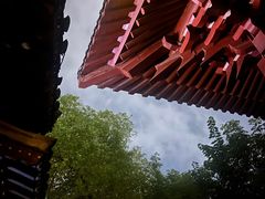 -绳金塔