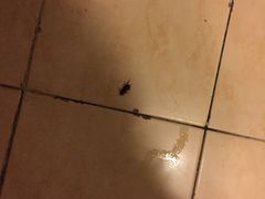 -北京前门建国饭店