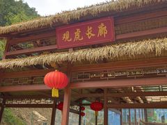 -栾川竹海野生动物园