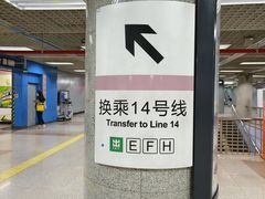 -大望路(地铁站)