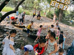 -成都市活水公园