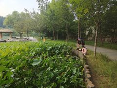 -石家庄市动物园