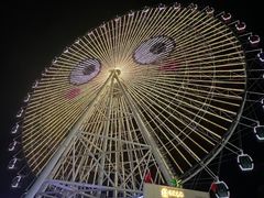 -琴岛之星摩天轮