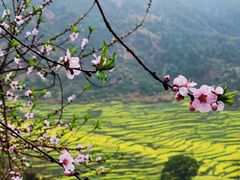 -婺源风景区