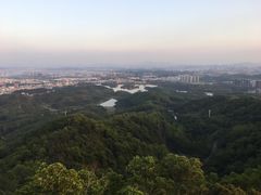 -大屏嶂森林公园
