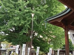 -医王山·飞騨国分寺
