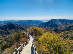 -大岭沟猕猴桃谷风景区