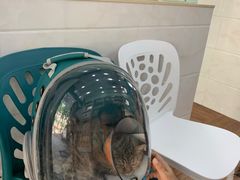 -荔康动物医院(康王北路店)