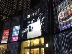 -Apple零售店(玄武湖店)