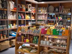 -奈斯宠物医院·核磁CT·异宠专科·内镜(中南店)