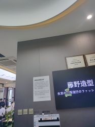 -藤野造型烫染