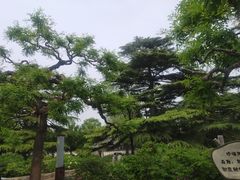 -香山公园
