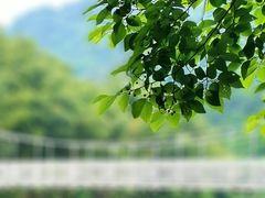 -浙西大峡谷