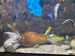 -福州罗源湾海洋世界旅游区