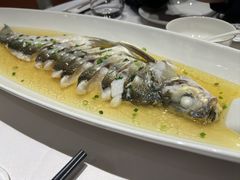 -至尊鲨鱼·原烹海鲜·新浙菜(拱宸桥店)