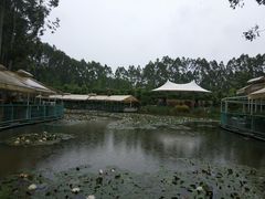 -三圣花乡旅游区