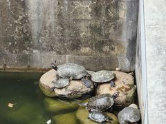 -南京市江宁方山