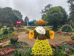 -南山植物园