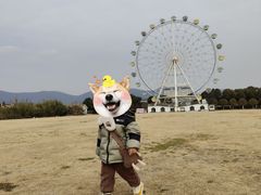 -云幽谷旅游区