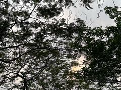 -海珠湖公园