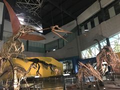 -湖南省地质博物馆