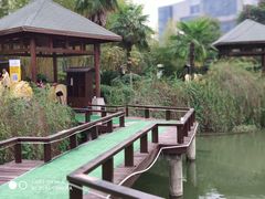 -咸宁万豪温泉谷度假区