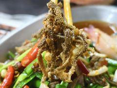 特色泡椒毛肚-回头烧烤(悦荟购物中心店)