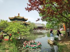 -曹州牡丹园