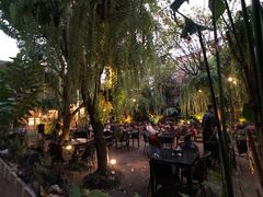 -Fern Forest Cafe