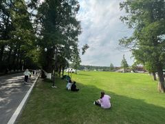 -黄海国家森林公园