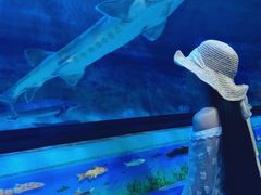-香港海洋公园