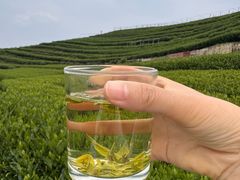 -龙坞茶村