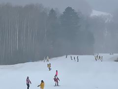 -长白山万达喜来登度假酒店