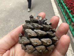 -青藏高原野生动物园