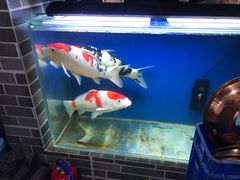 吧台-张记烤羊腿(北花园店)