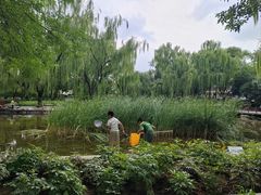 -玲珑塔公园