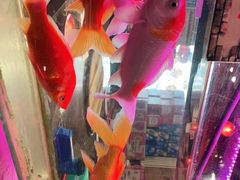 -粗粮人家·东北菜(洋桥店)