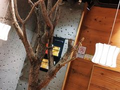 -茶颜悦色(嘉顿一楼吉时赏味游园会店)