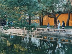-西园戒幢律寺